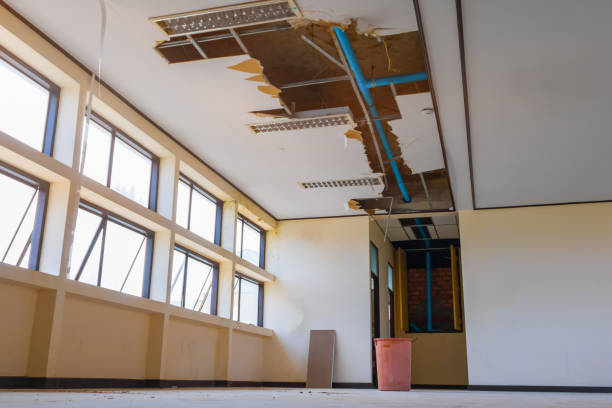 Best Sewage cleanup and water damage restoration  in Wolfhurst, OH