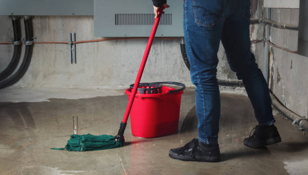  Wolfhurst, OH Water damage restoration Pros
