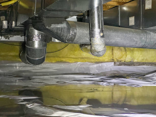 Best Local water damage restoration  in Wolfhurst, OH