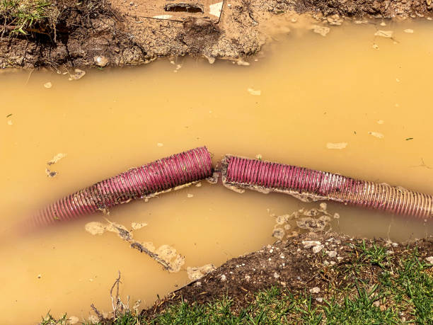 Best Carpet water damage restoration  in Wolfhurst, OH