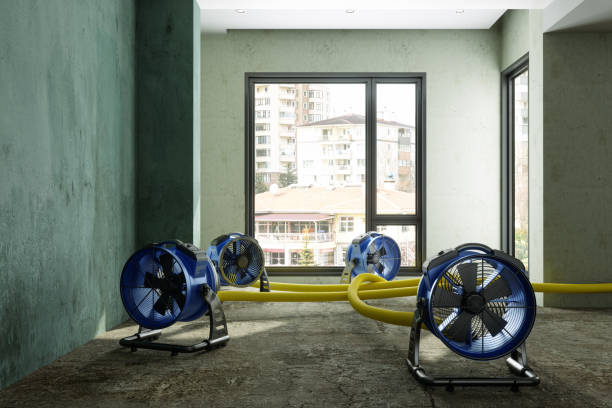 Best Fire Damage Restoration  in Wolfhurst, OH